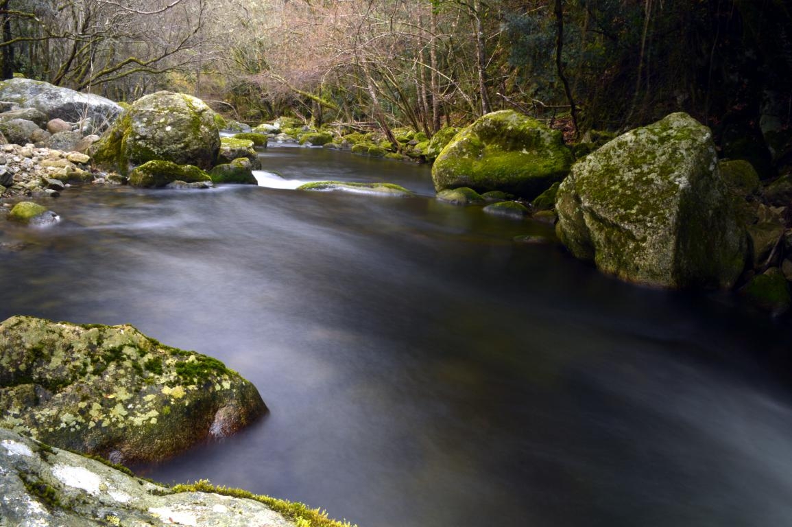 Cann do Mao. Parada de Sil. Ribeira Sacra. fcmv