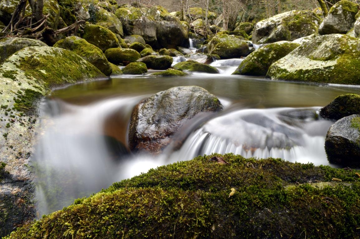 Cann do Mao. Parada de Sil/ A Teixeira. Ribeira Sacra. byJOM