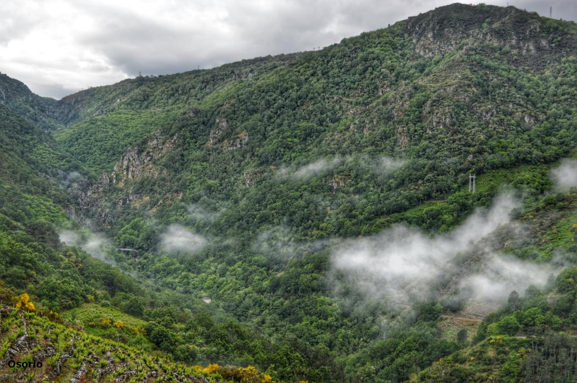 Cann do Mao. Parada de Sil. Ribeira Sacra. fcmv