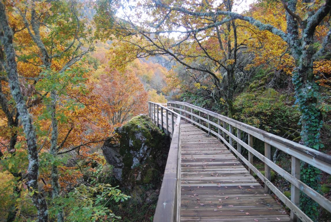 Pasarela no Cann do Mao. Parada de Sil. Ribeira Sacra.