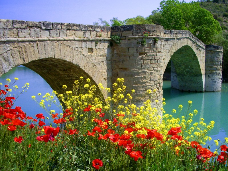 Puente primaveral