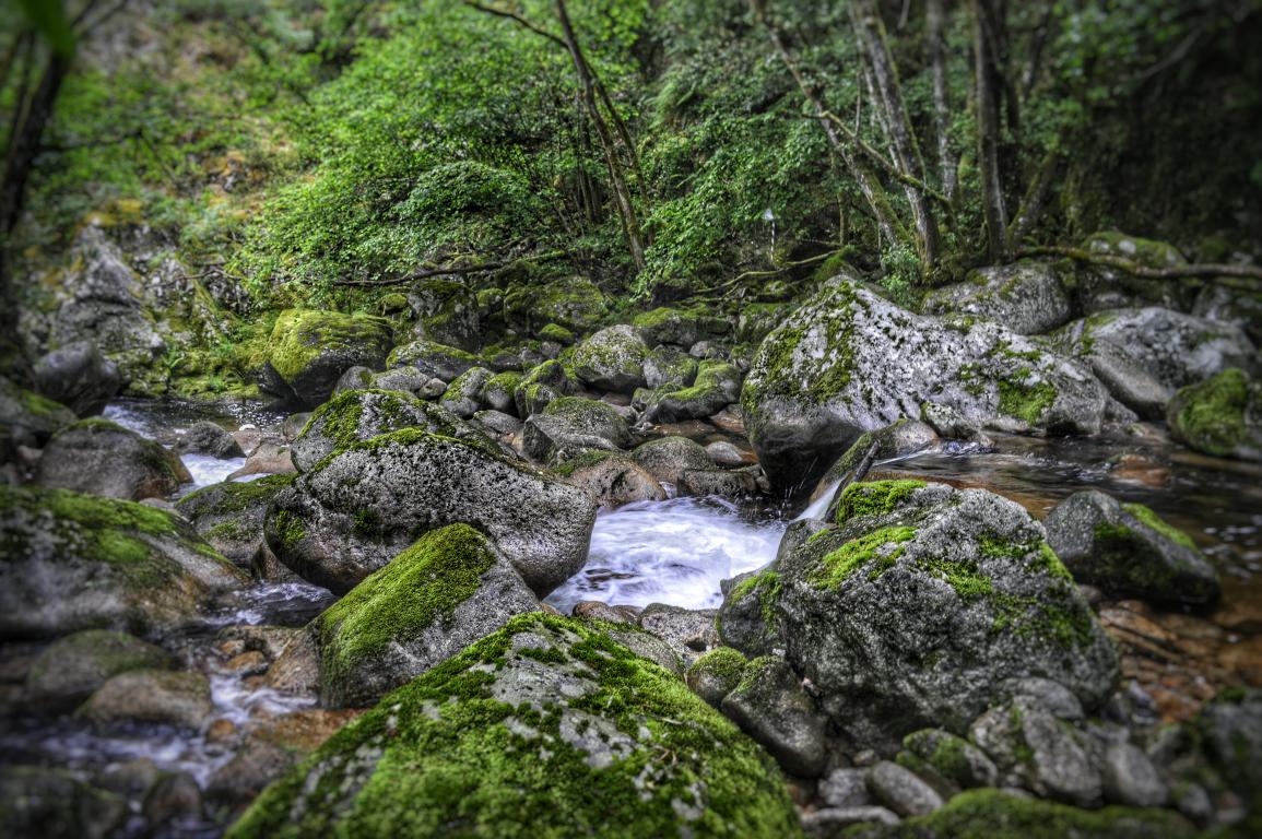 Pesca no Mao. Parada de Sil. Ribeira Sacra.
