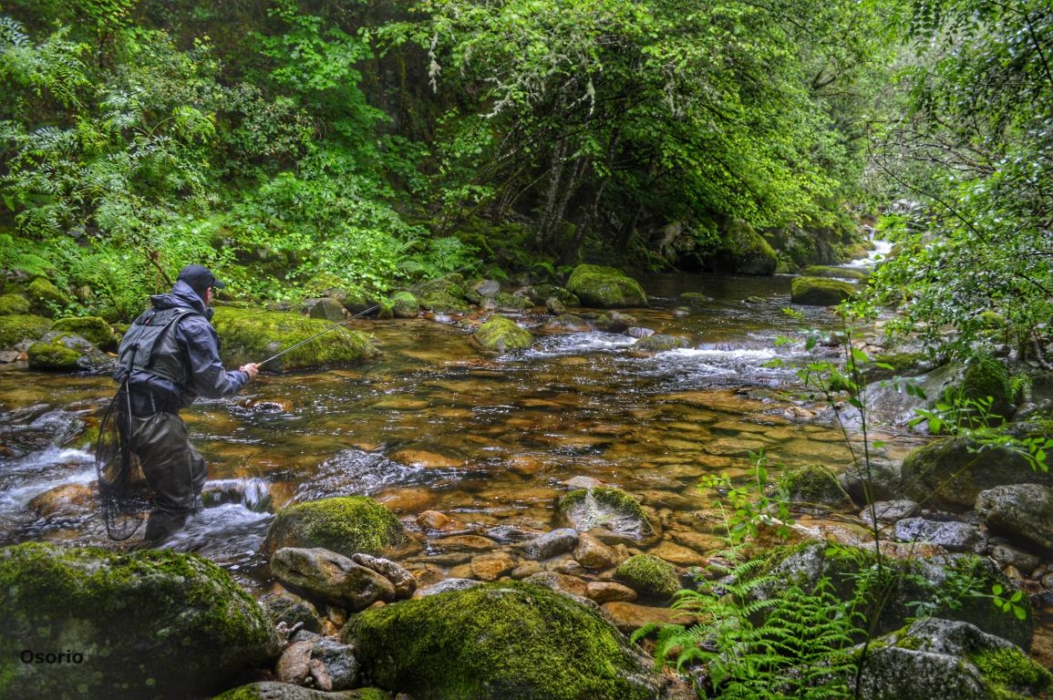 Pesca deportiva no Mao. Parada de Sil. Ribeira Sacra. fcmv