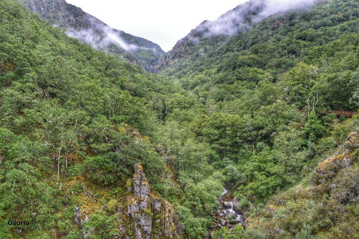 Pesca deportiva no Mao. Parada de Sil. Ribeira Sacra.