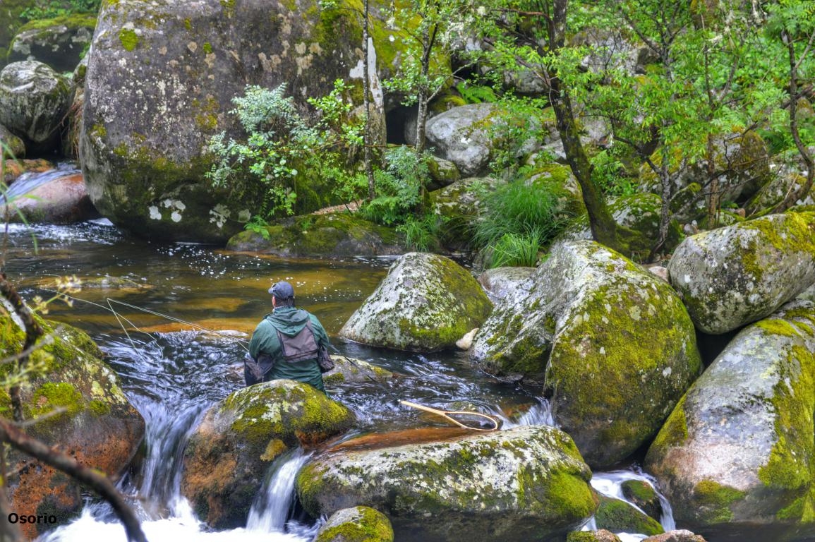 Cann do Mao. Parada de Sil. Ribeira Sacra.