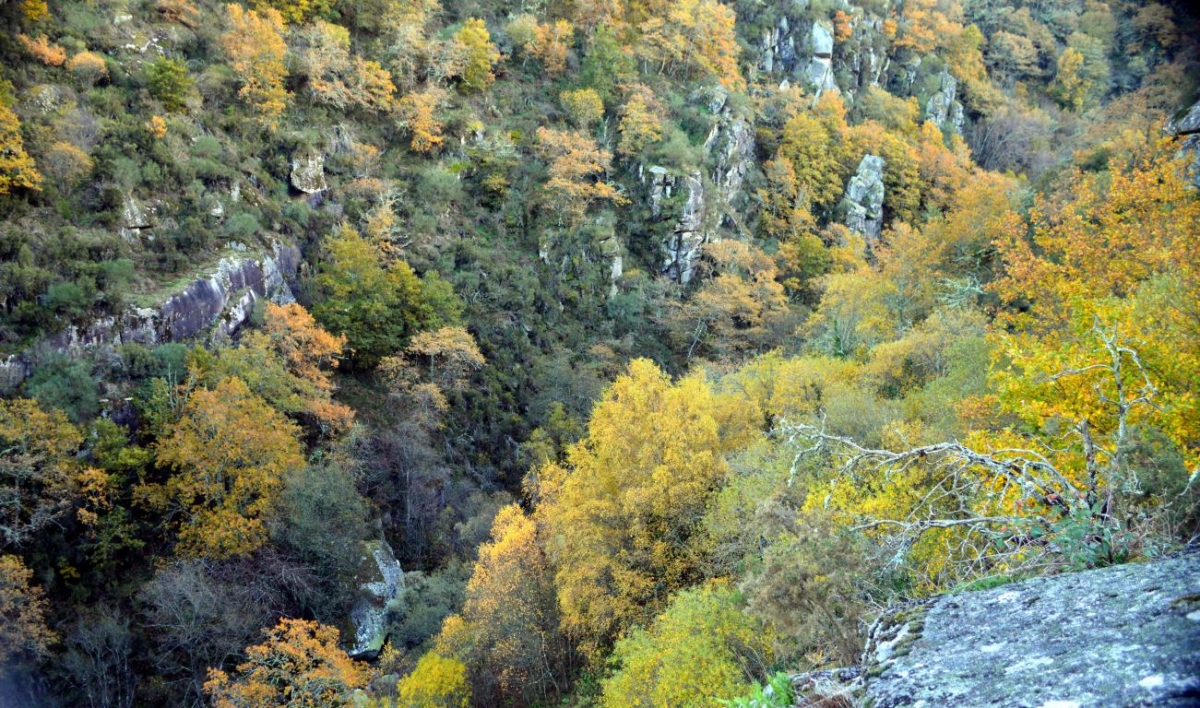 Rota do Cann do Mao Parada de Sil. Ribeira Sacra fcmv