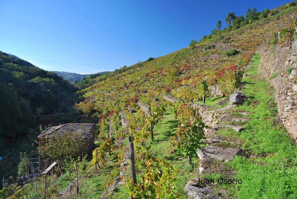 Vias na Ribeira Sacra: 