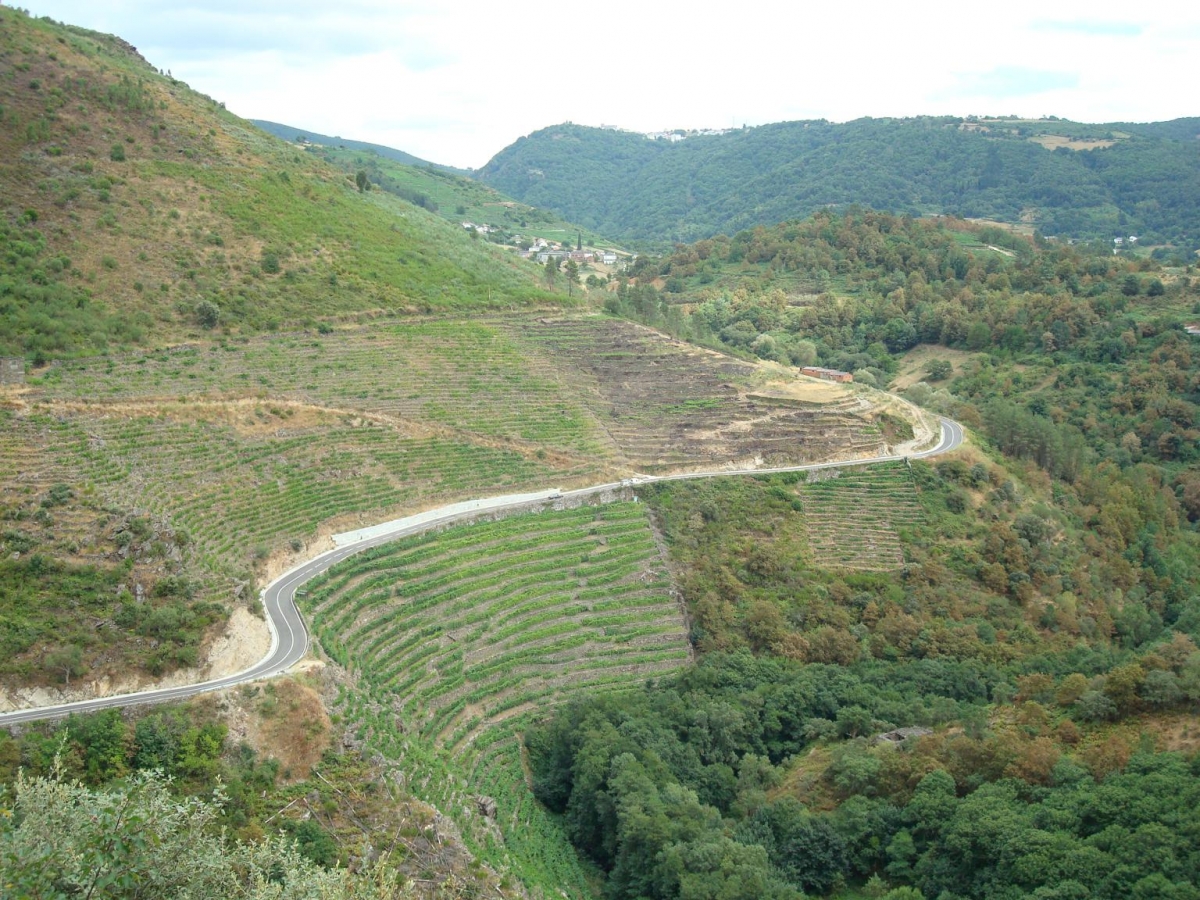 Ribeira Sacra: