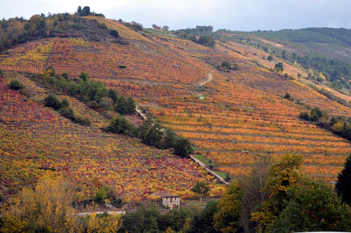 Ribeira Sacra: Alais. Outono fcmv