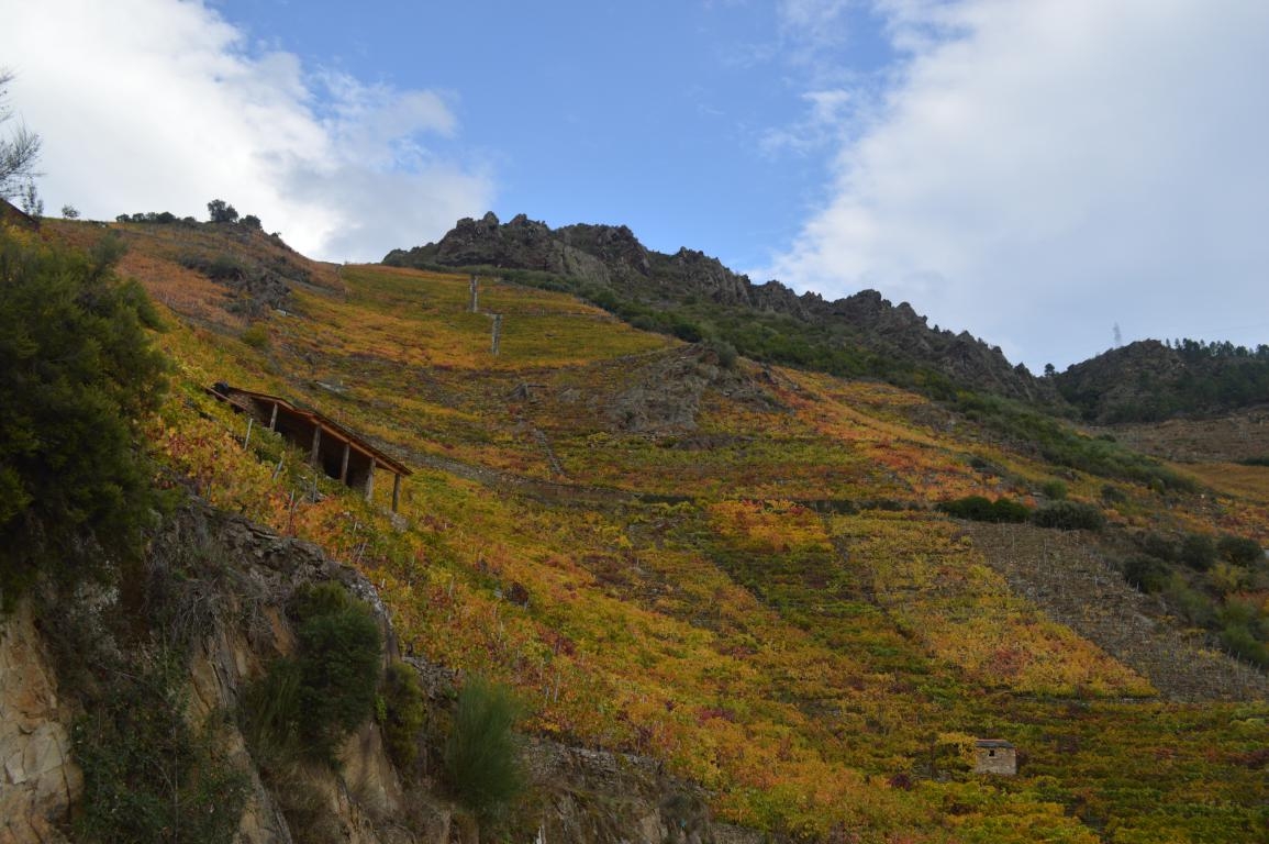 Ribeira Sacra: Sober. Cann do Sil fcmv