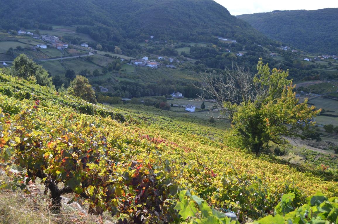 Ribeira Sacra: fcmv