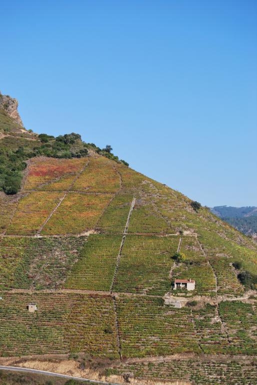 Ribeira Sacra: