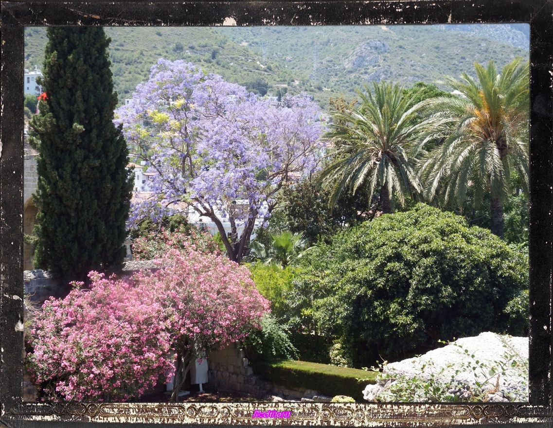 Un jardn con bonitos colores