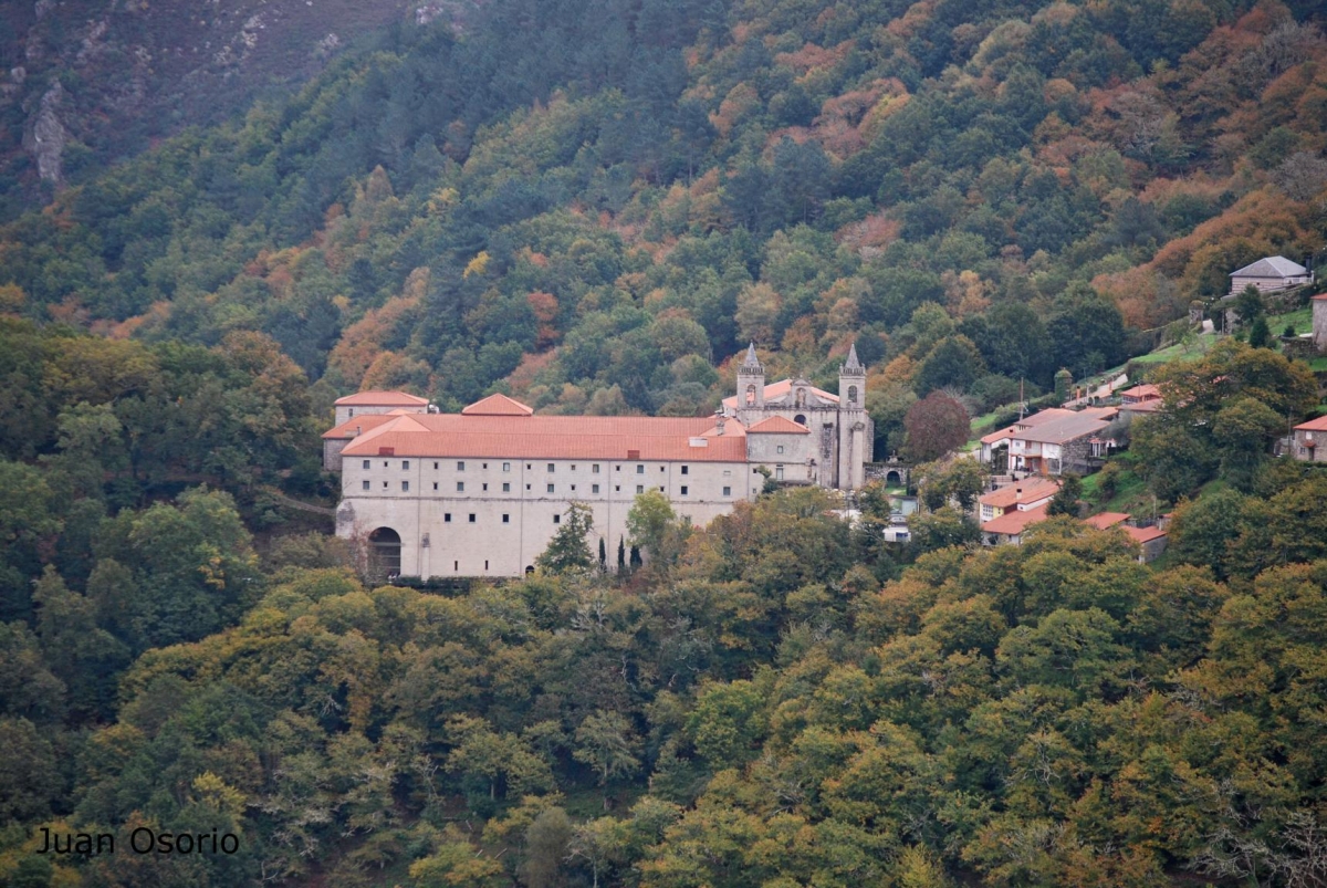 Sto Estevo de Ribas do Sil: Ribeira Sacra. Nogueira de Ramun fcmv
