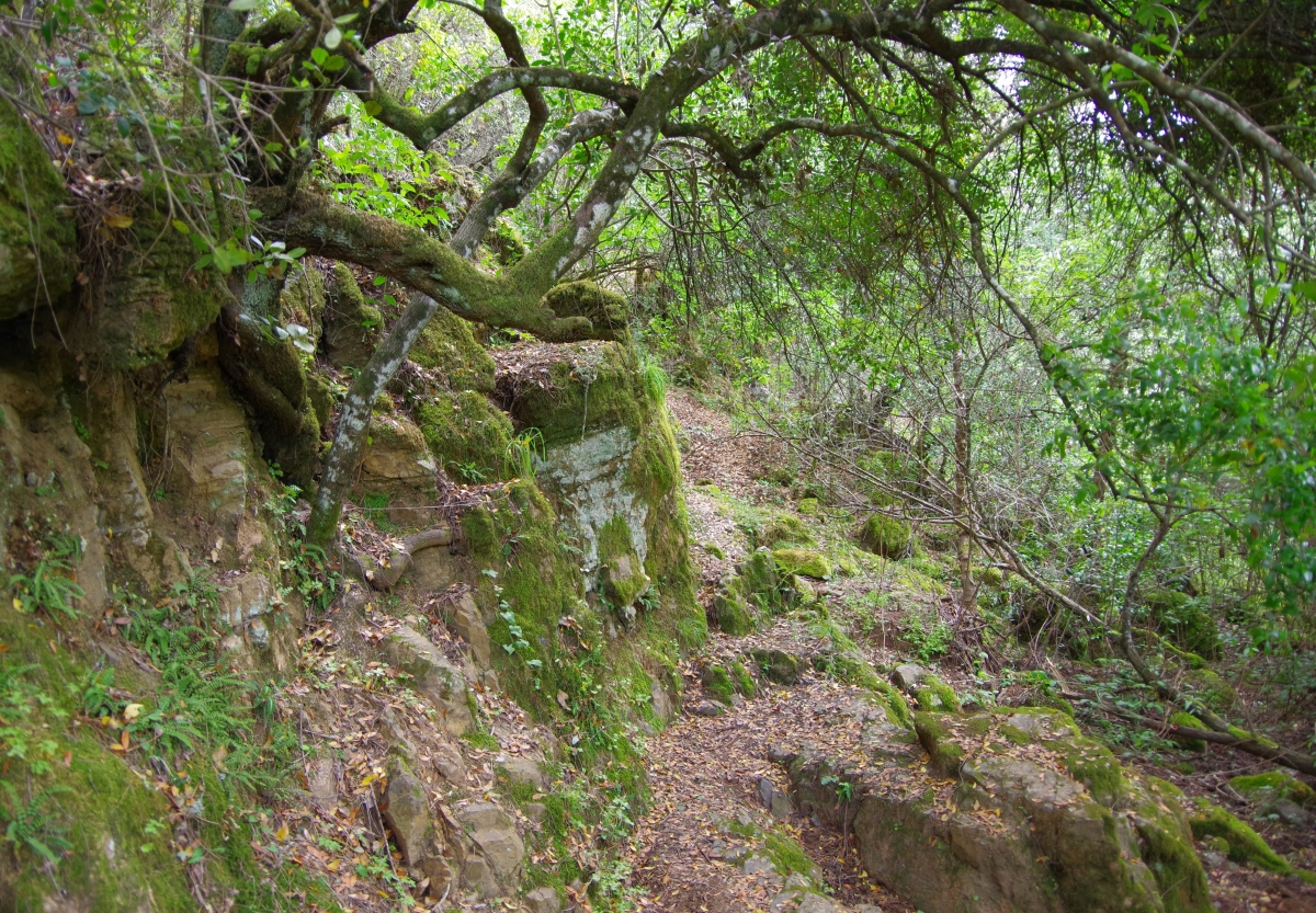 Baos de Popea (camino III)