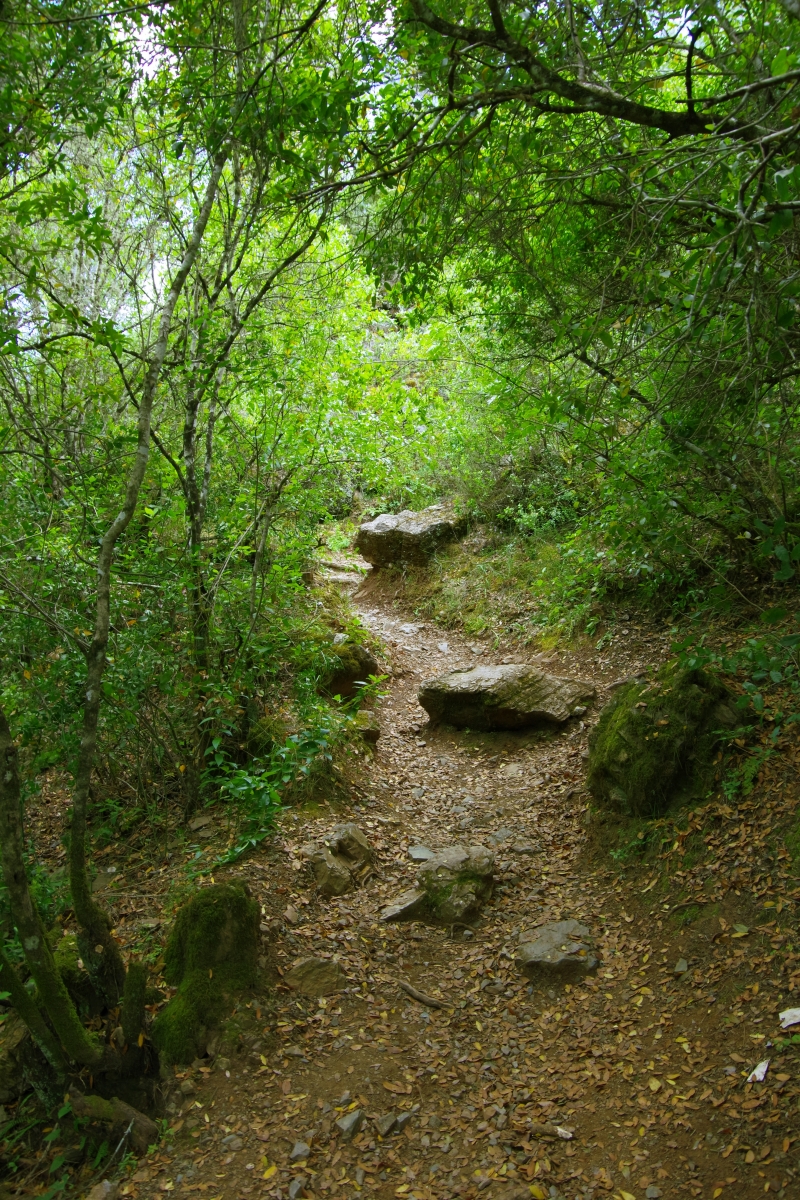 Baos de Popea (camino IV)