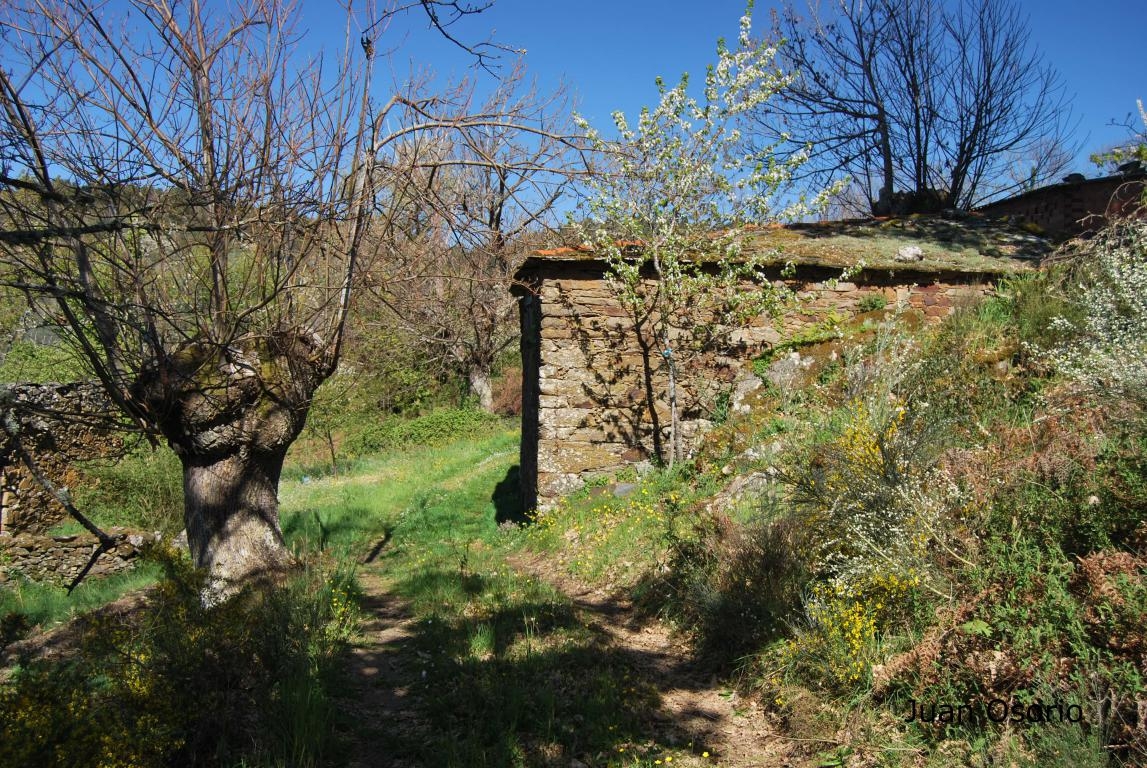 Arquitectura popular: adegas. Castro Caldelas. Ourense. Ribeira Sacra