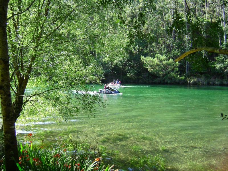 Disfrutando de la naturaleza