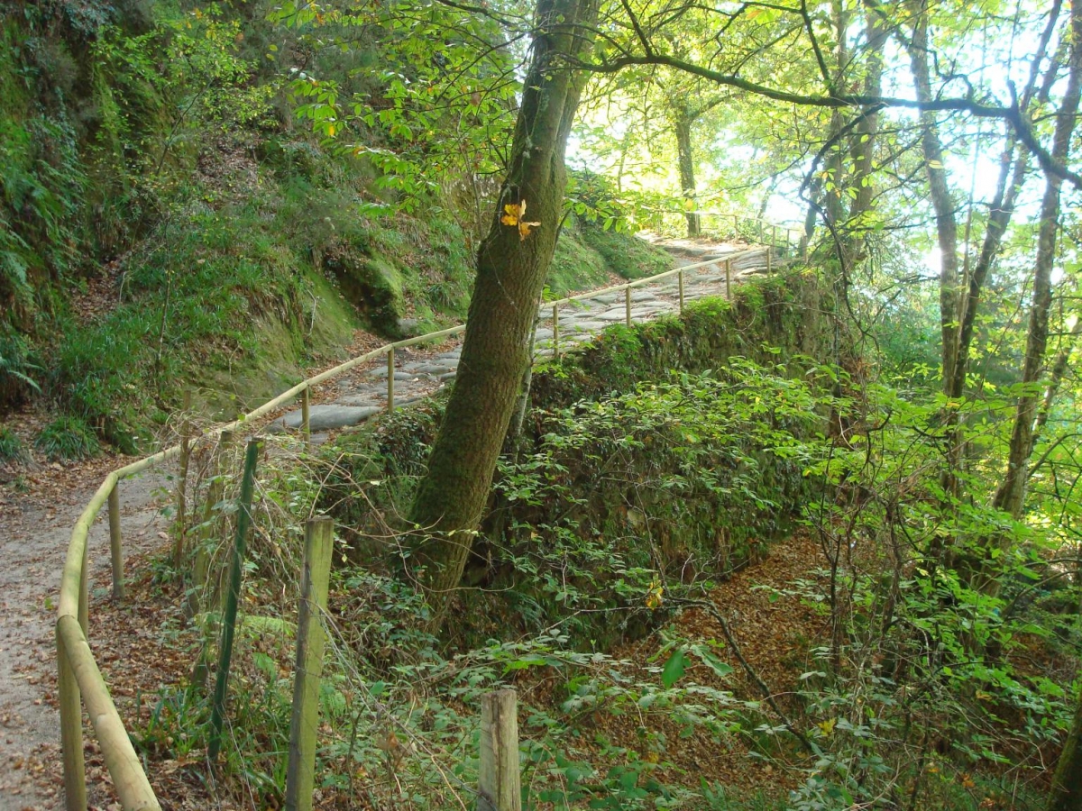 S Pedro de Rocas. Esgos. Ribeira Sacra. Ourense. Galicia fcmv