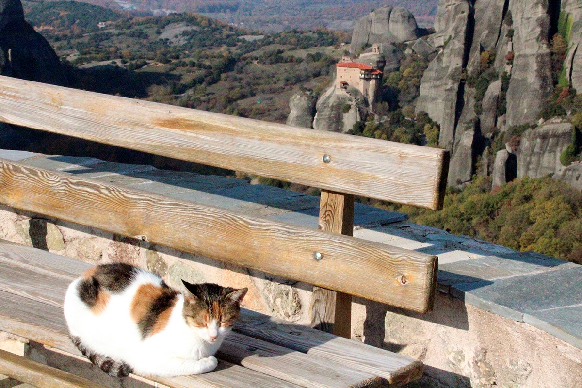 Monasterio San Nicolas Meteora con gatito