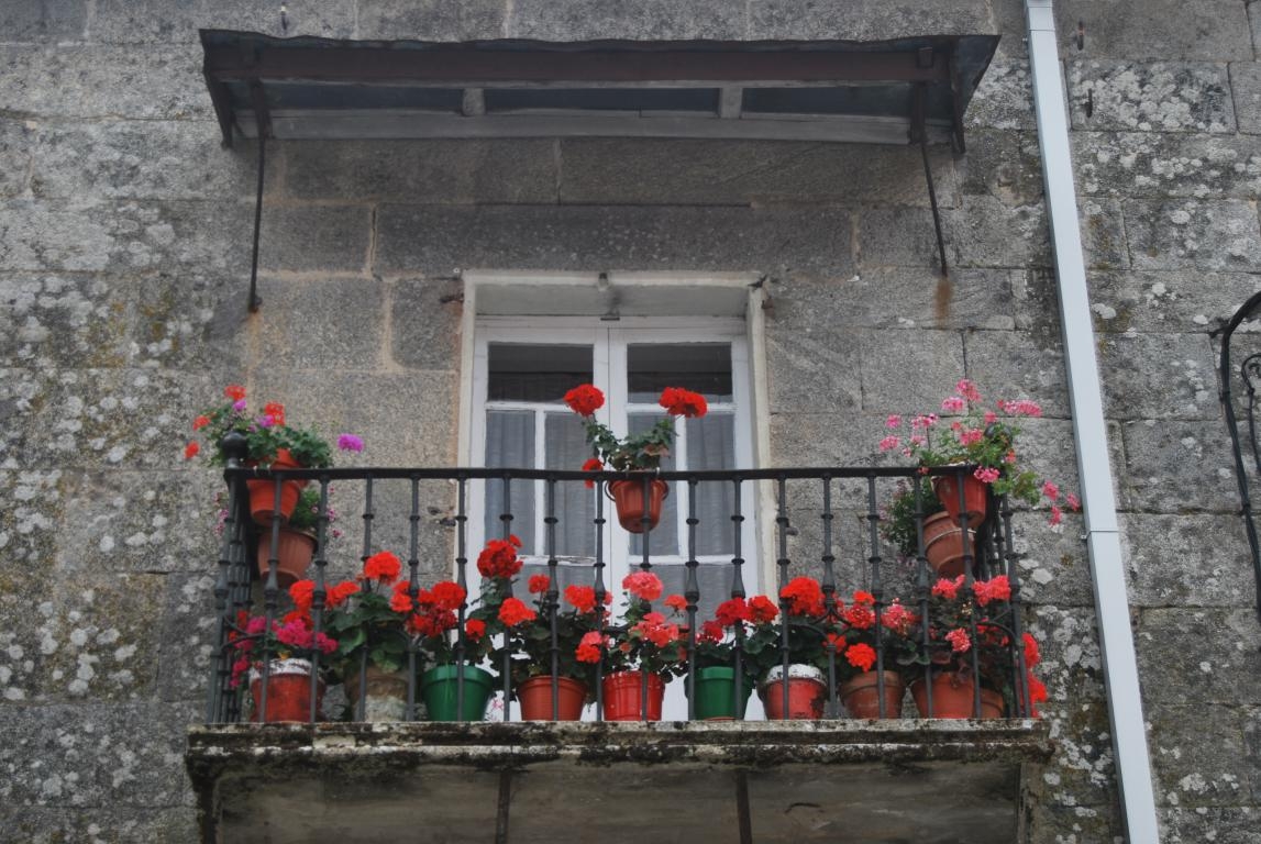 Mosteiro de Sta Mara de Montederramo. Ribeira Sacra. Ourense. Galicia fcmv