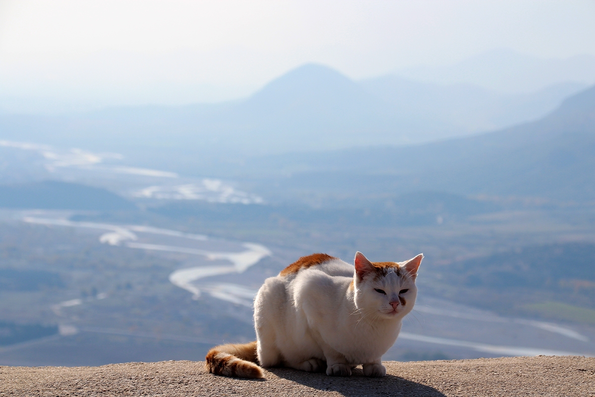 El rey de meteora