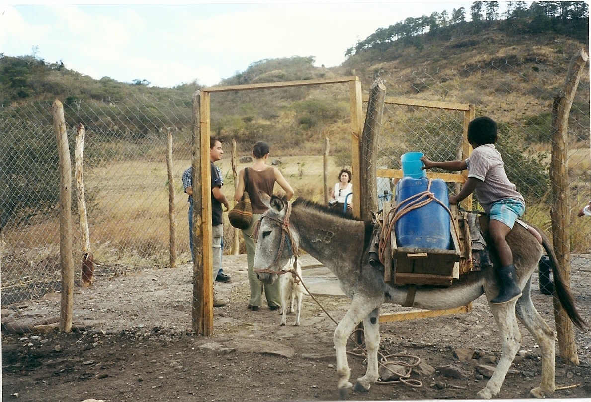 Transporte del agua potable a lomos de burros