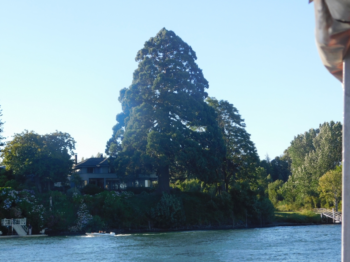 Paisaje orilla de rio