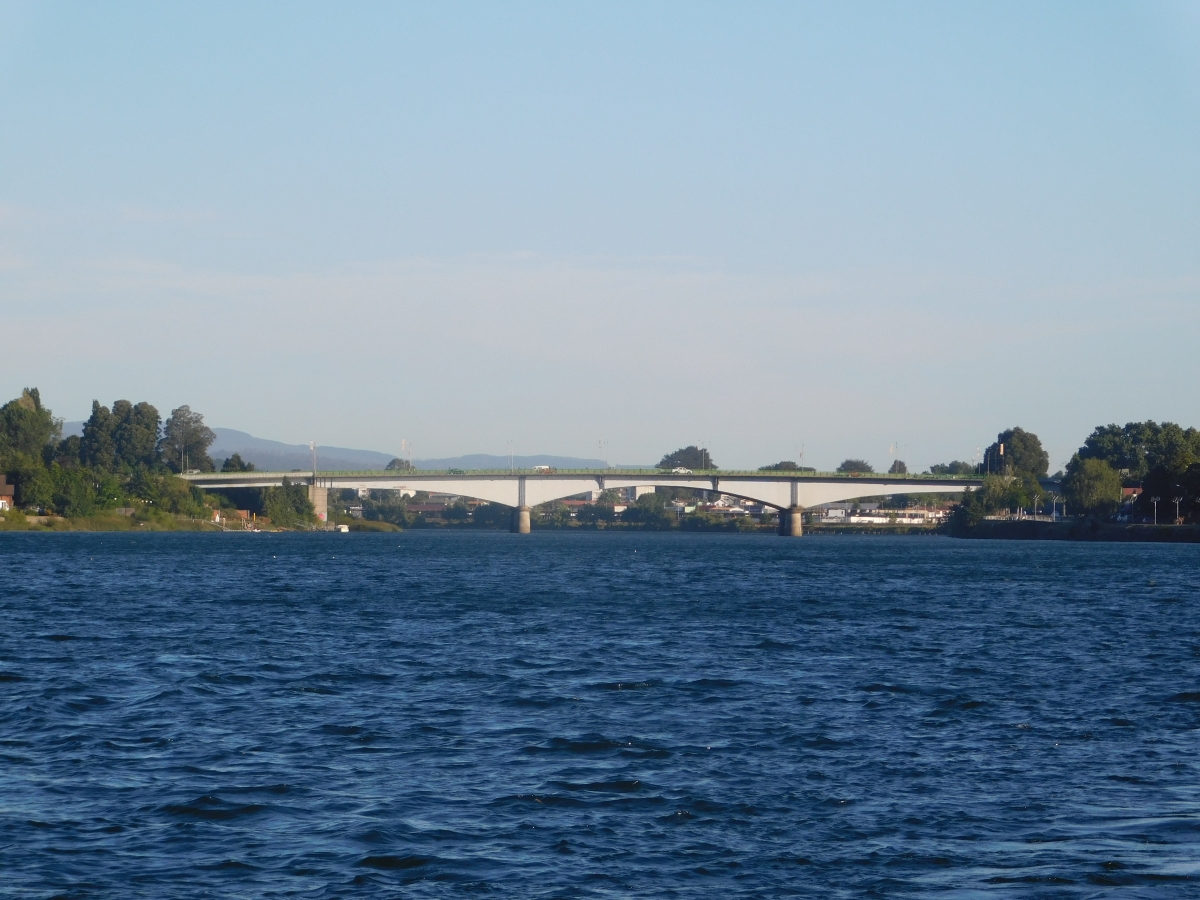 Puente en toda su magnitud