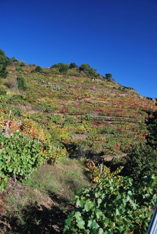 Vias na Ribeira Sacra:  fcmv