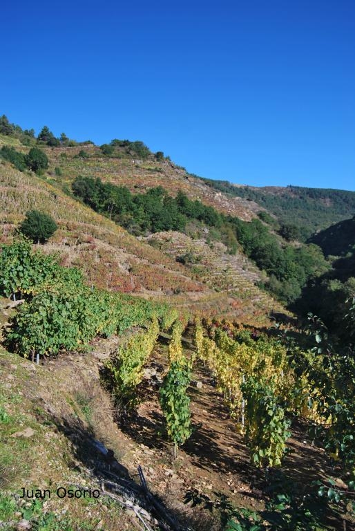 Vias na Ribeira Sacra. Castro Caldelas. Ourense. Galicia. fcmv