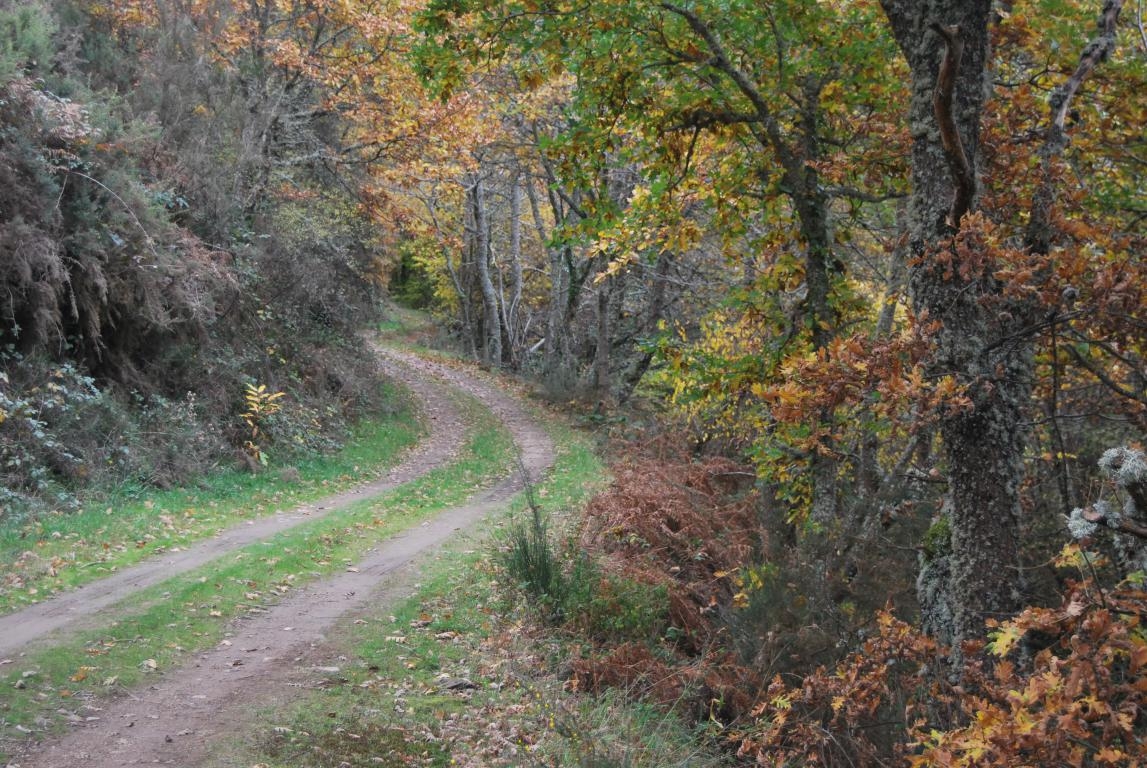 Fraga de Pigeiros. Castro Caldelas. Ribeira Sacra. Ourense. Galicia