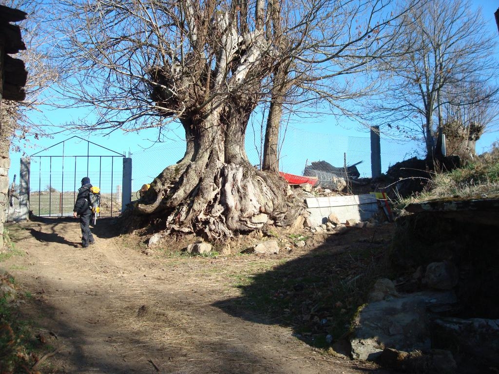 Castieiro. . Castro Caldelas. Ribeira Sacra. Ourense. Galicia fcmv