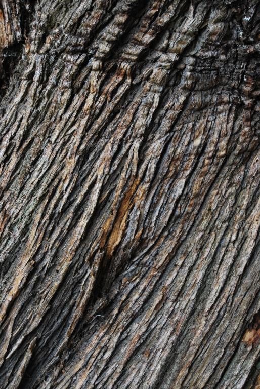 Castieiro. . Castro Caldelas. Ribeira Sacra. Ourense. Galicia fcmv