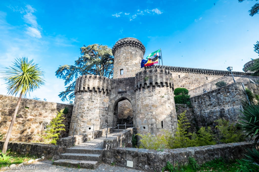 PUERTA DE ENTRADA