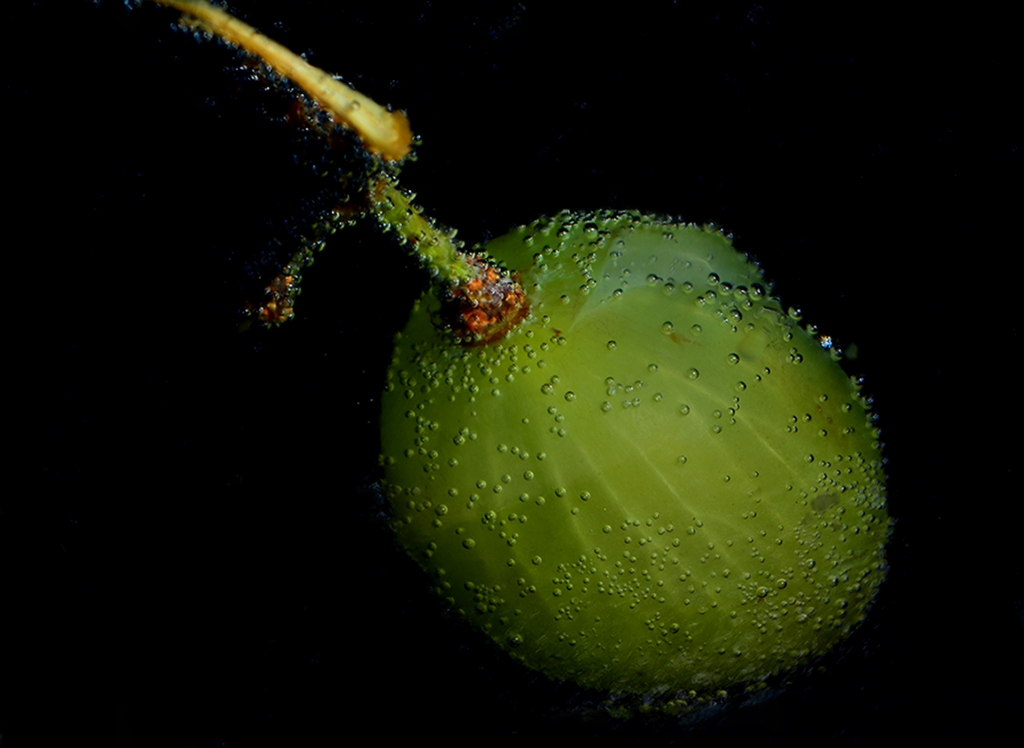 Grano de uva