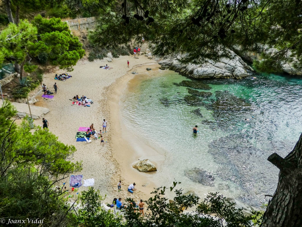 CALA SA COVA