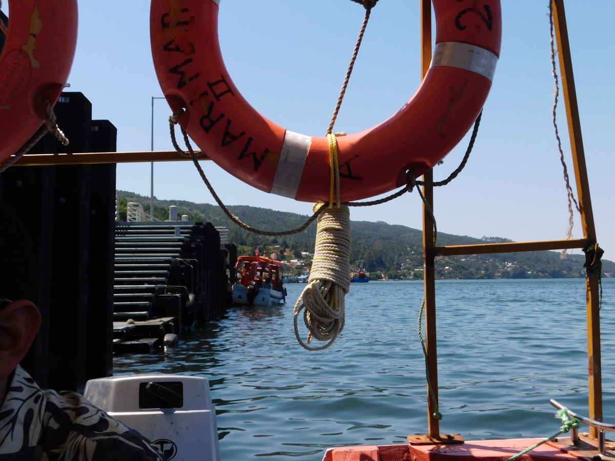 El salvavidas no puede faltar en el mar