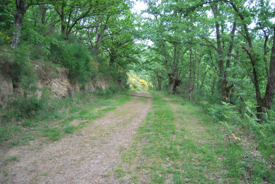 Fraga de Pigeiros. Castro Caldelas. Ribeira Sacra. Ourense. Galicia fcmv
