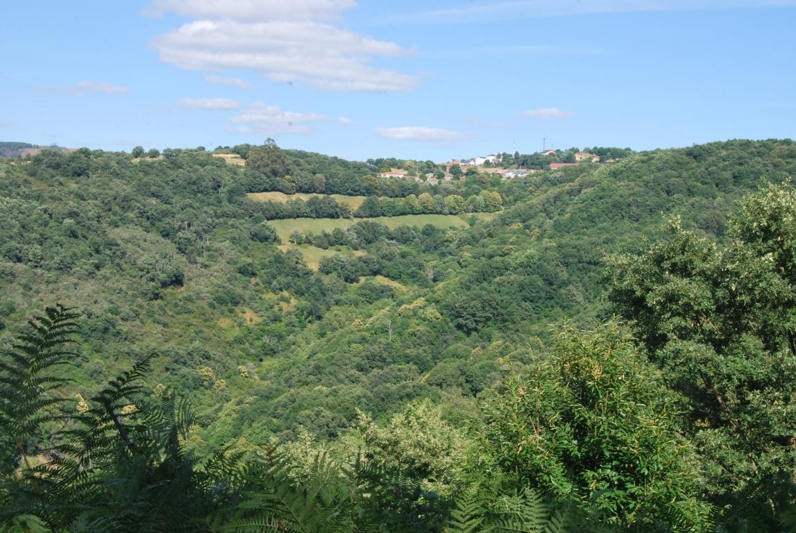 Fraga de Pigeiros. Castro Caldelas. Ribeira Sacra. Ourense. Galicia fcmv