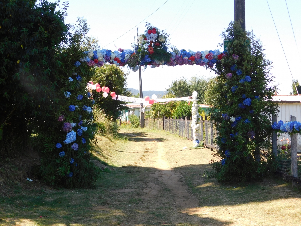 Embelleciendo la isla con flores