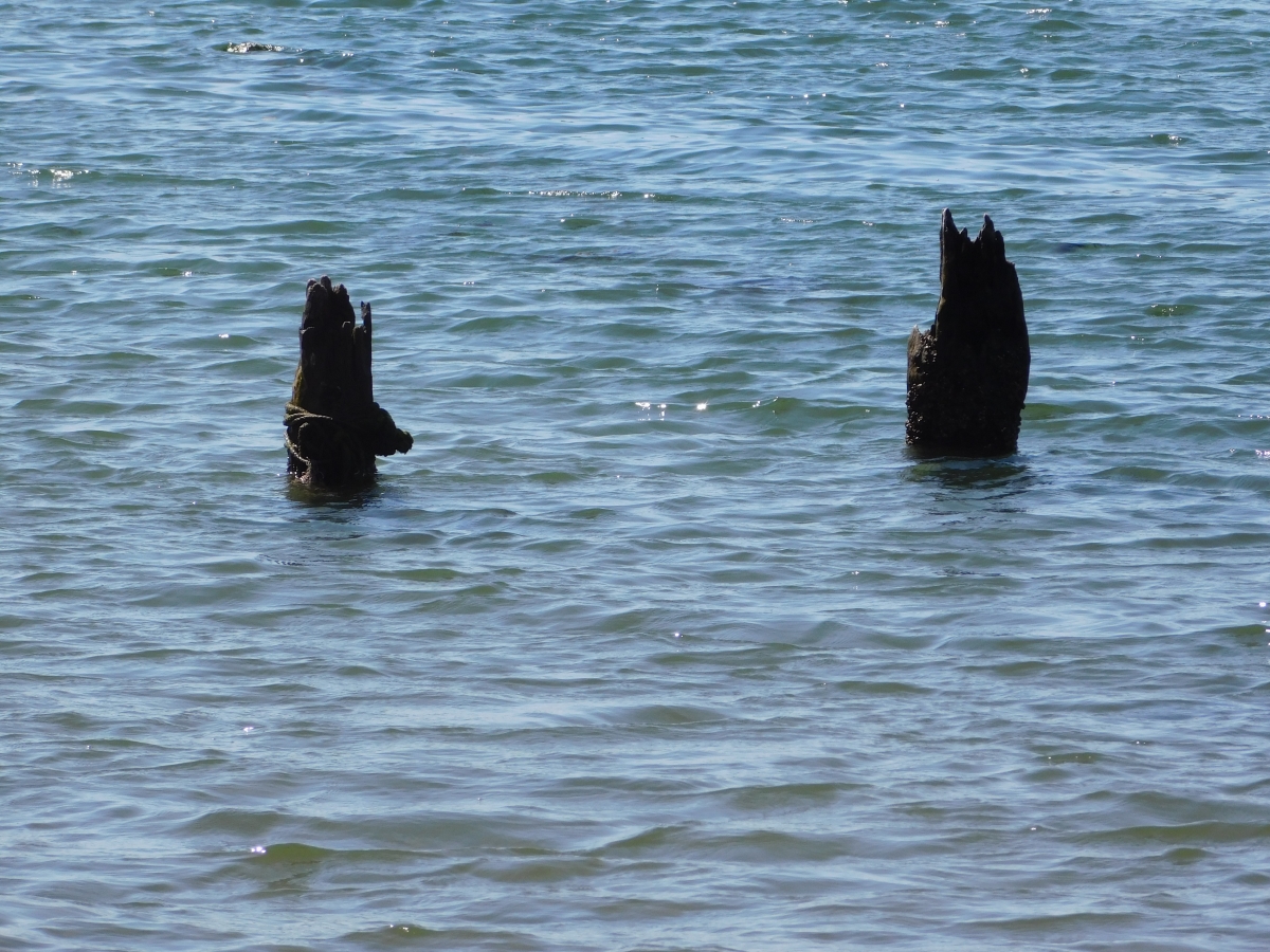 Restos de un muelle