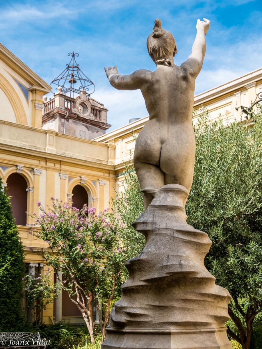 PATIO-JARDIN