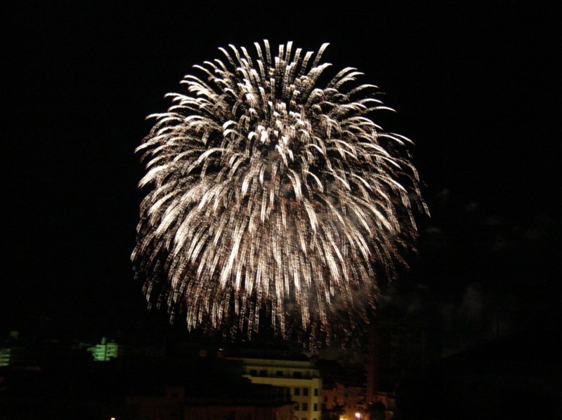 PALMERA DE ARTIFICIO