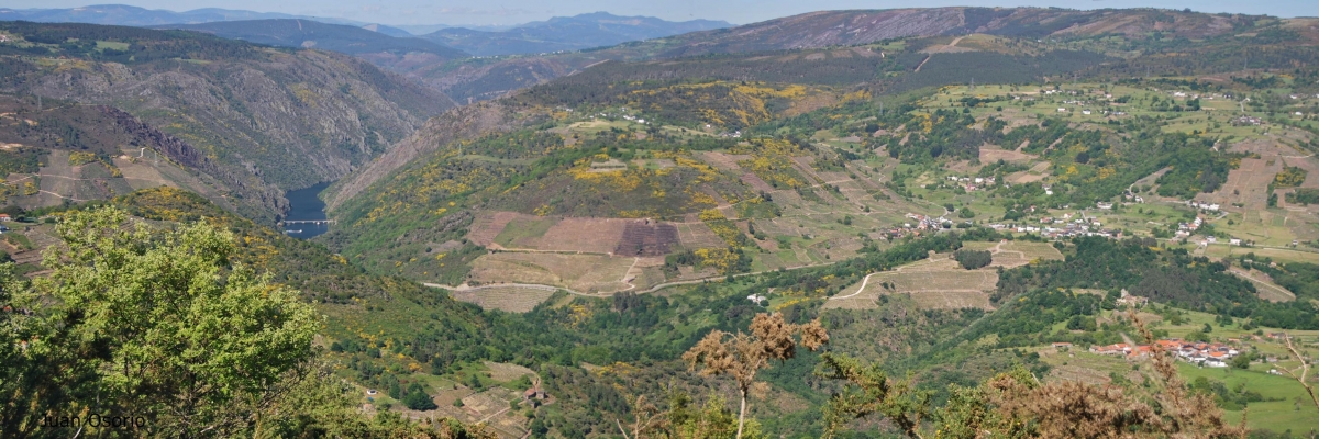 A carosa. A Teixeira. Ribeira Sacra. Ourense. Galicia fcmv