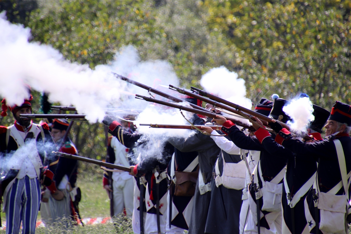 Napoleonicos disparando a discrecin