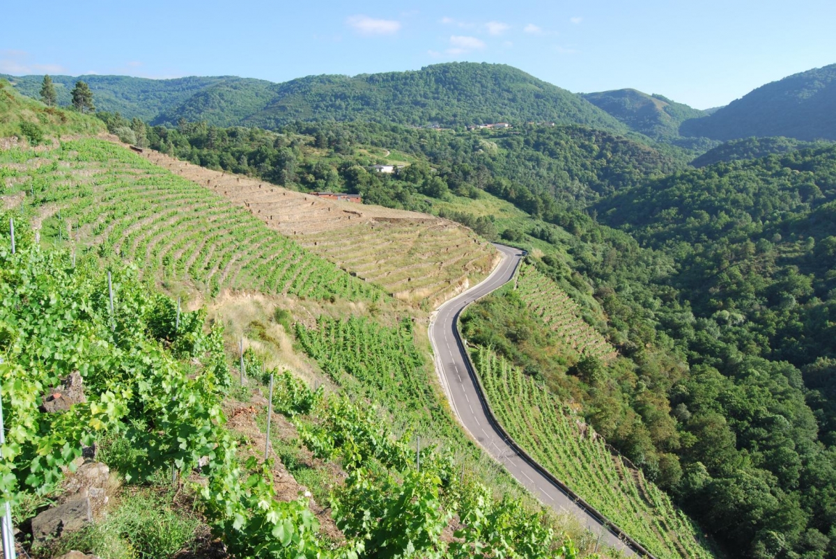 Vias na Ribeira Sacra.A Teixeira. Ourense. Galicia. fcmv
