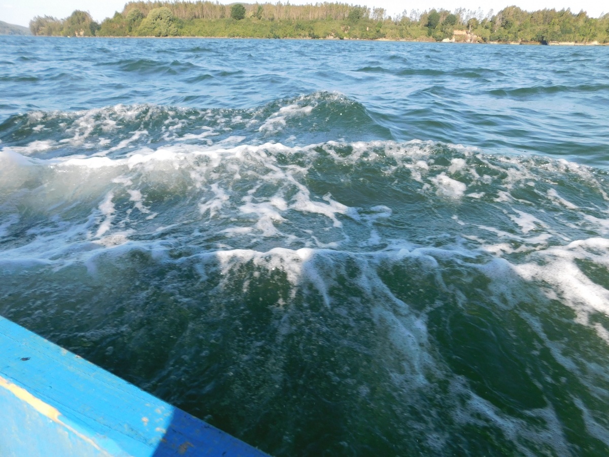 Podamos tocar el agua