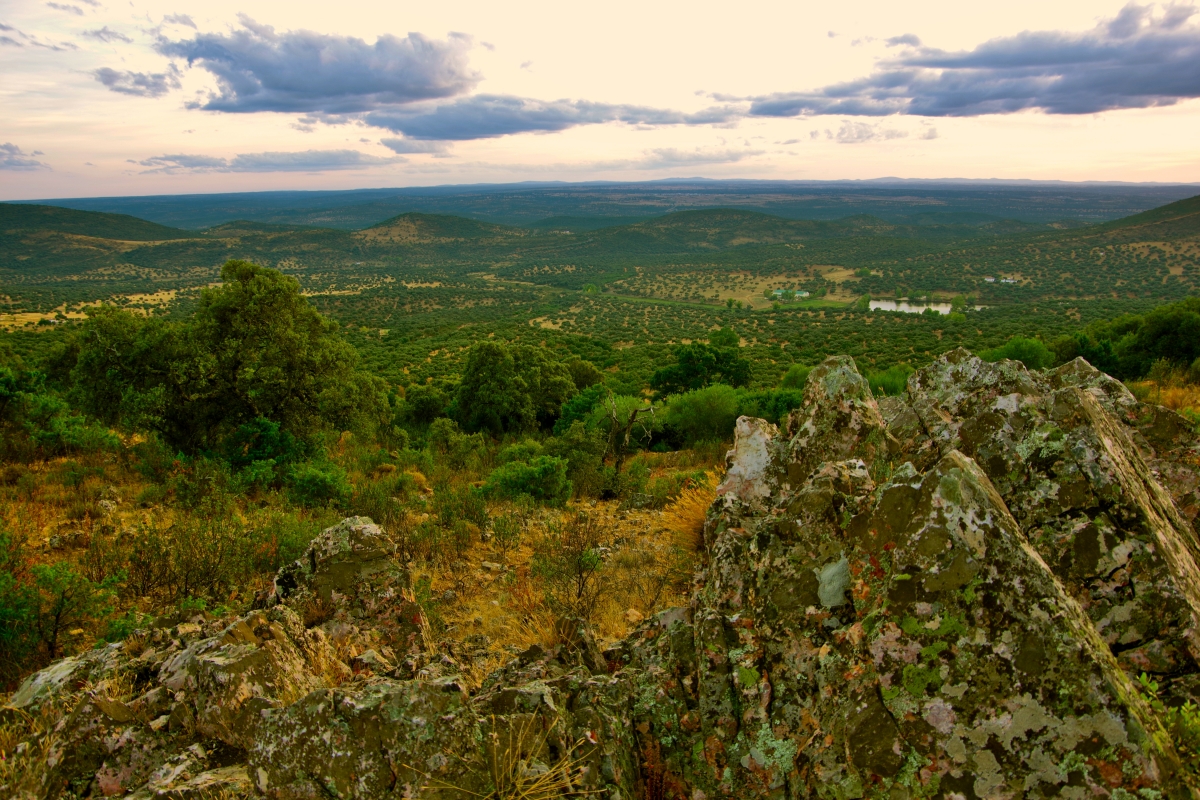 Valle de Alcudia