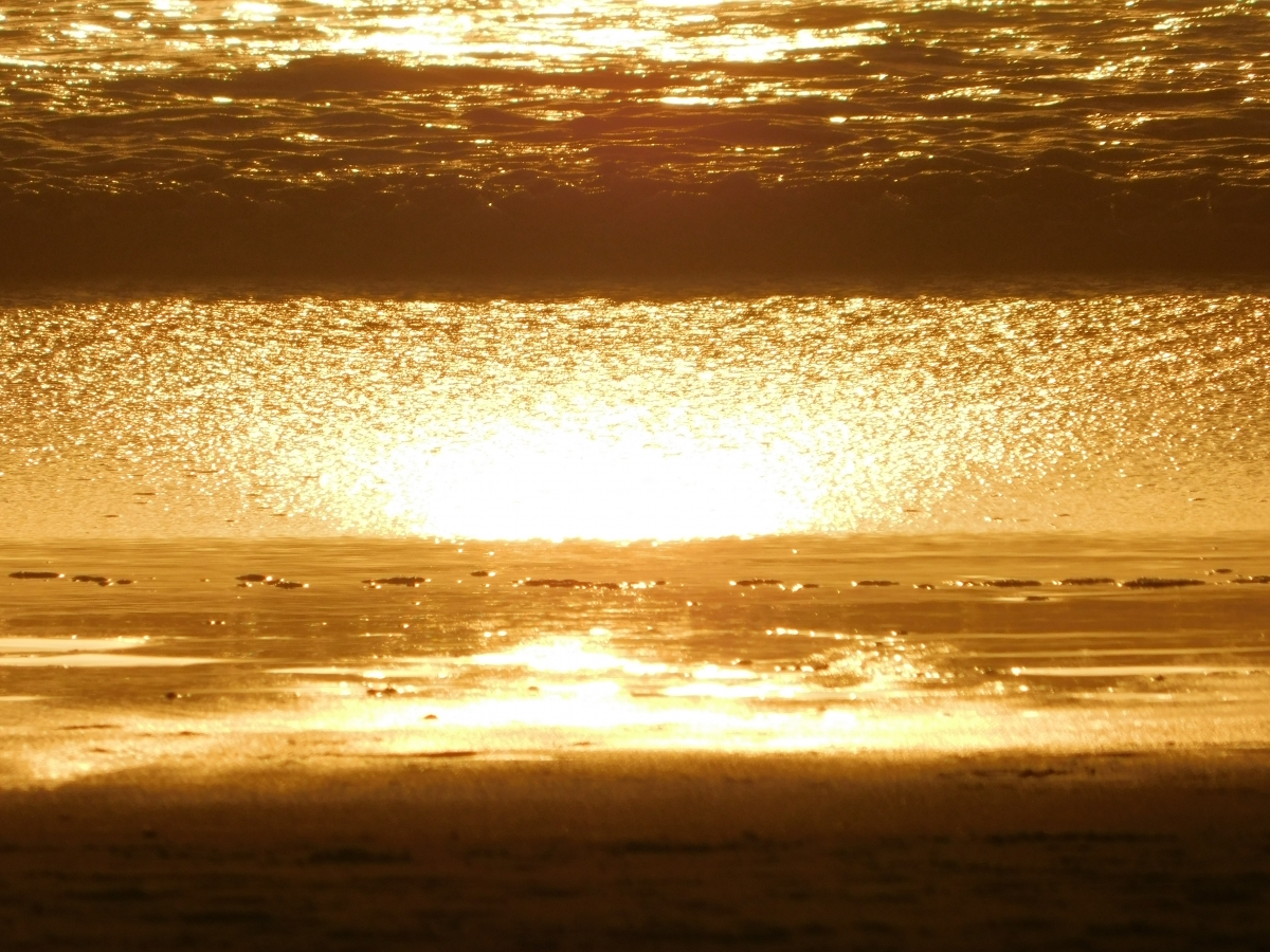 Reflejos sobre el dorado